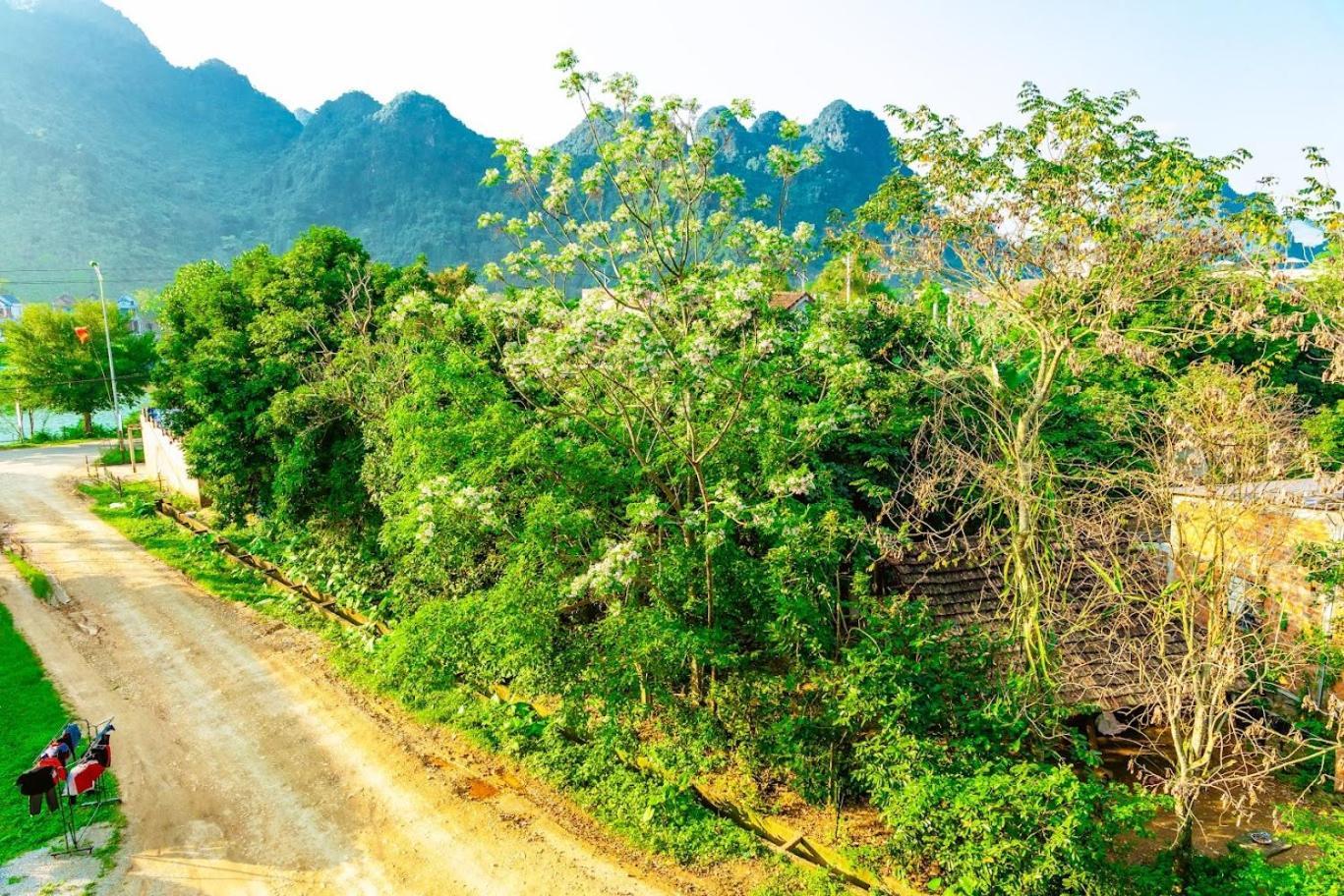 Phong Nha Cherish House公寓 外观 照片